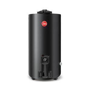 Termotanque Rheem TGNP080RH a Gas Natural de Pie 80L