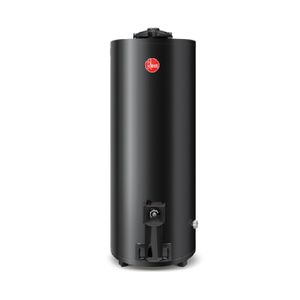 Termotanque RHEEM TGNP120RH Gas Natural de Pie 120 Lts Conexión Superior