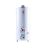 Termotanque-Rheem-TPG080GNRH-a-Gas-Natural-de-Pie-80-L