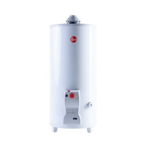 Termotanque RHEEM TPG080GNRH Multigas de Pie 80 Lts Conexión Superior
