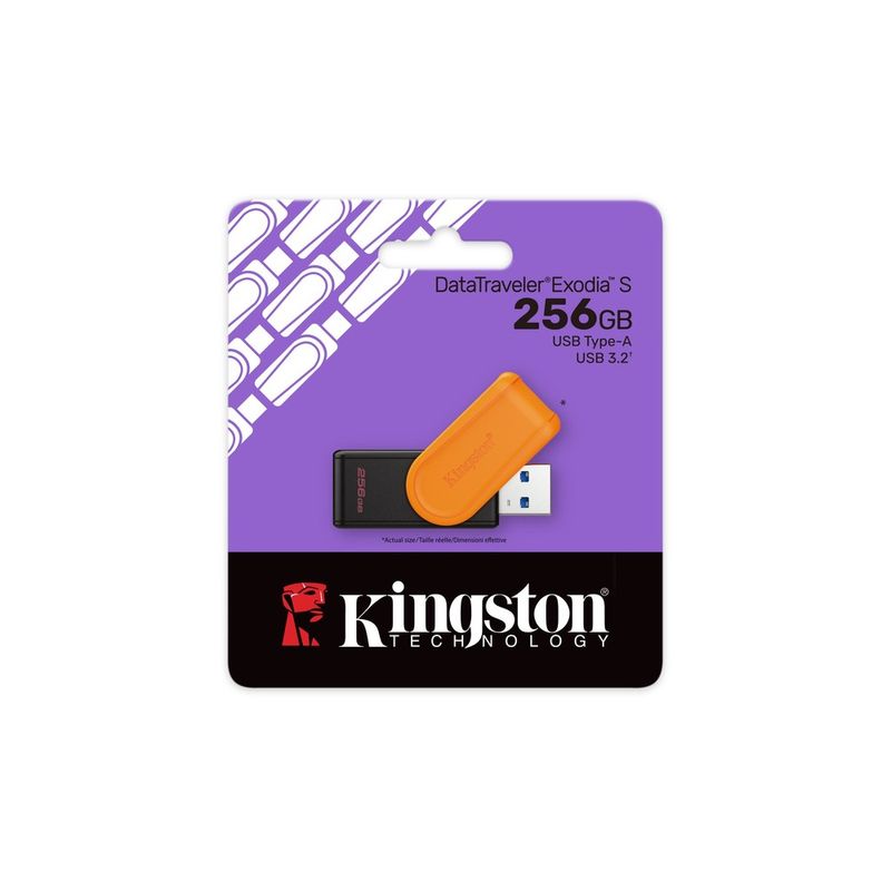 DTXS-256GB-1