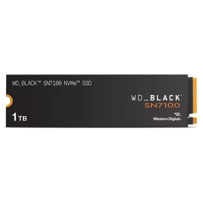 WDS100T4X0E-34