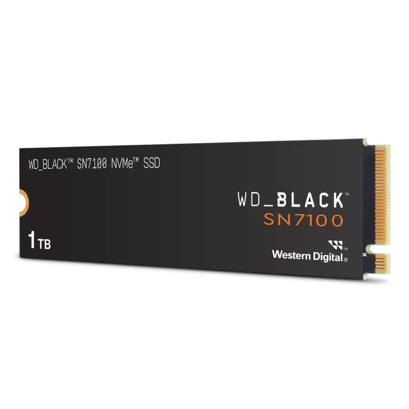 WDS100T4X0E