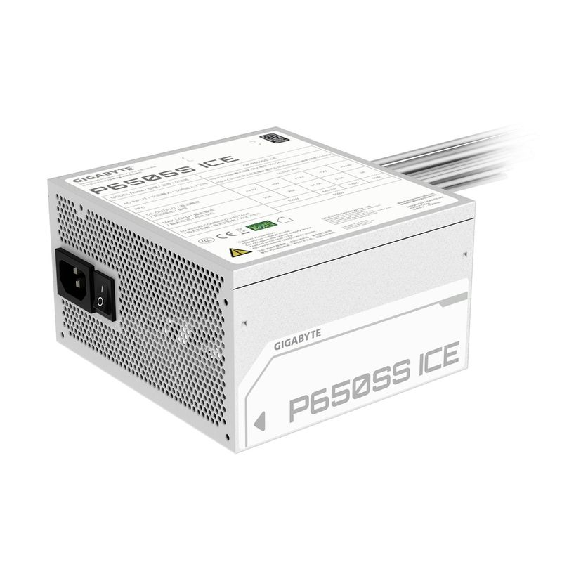 P650SS-ICE-04