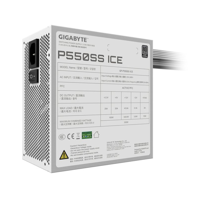 P550SS-ICE-06