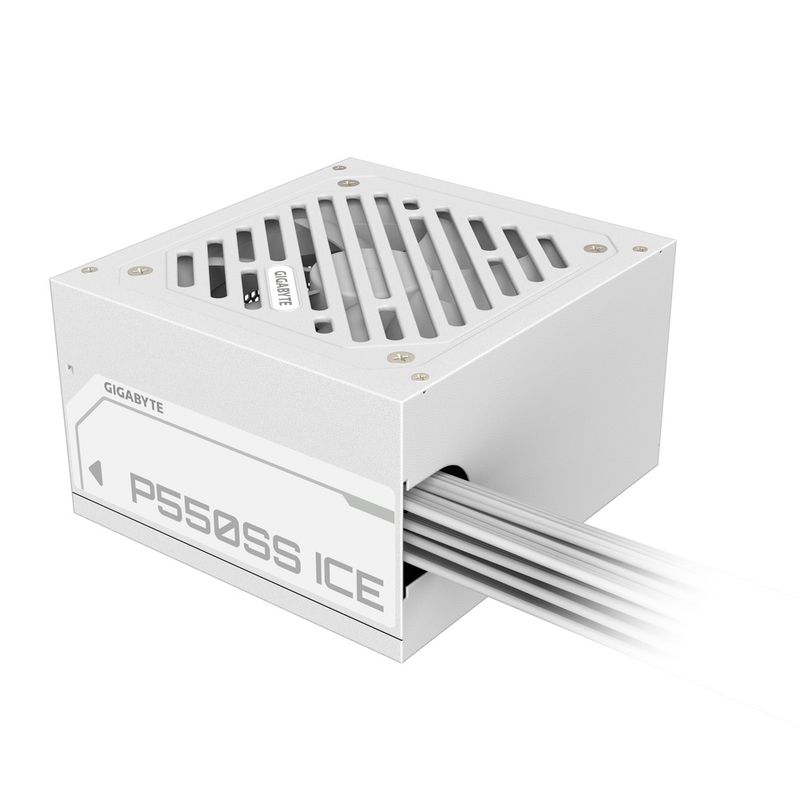 P550SS-ICE-04