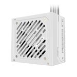 P550SS-ICE-01