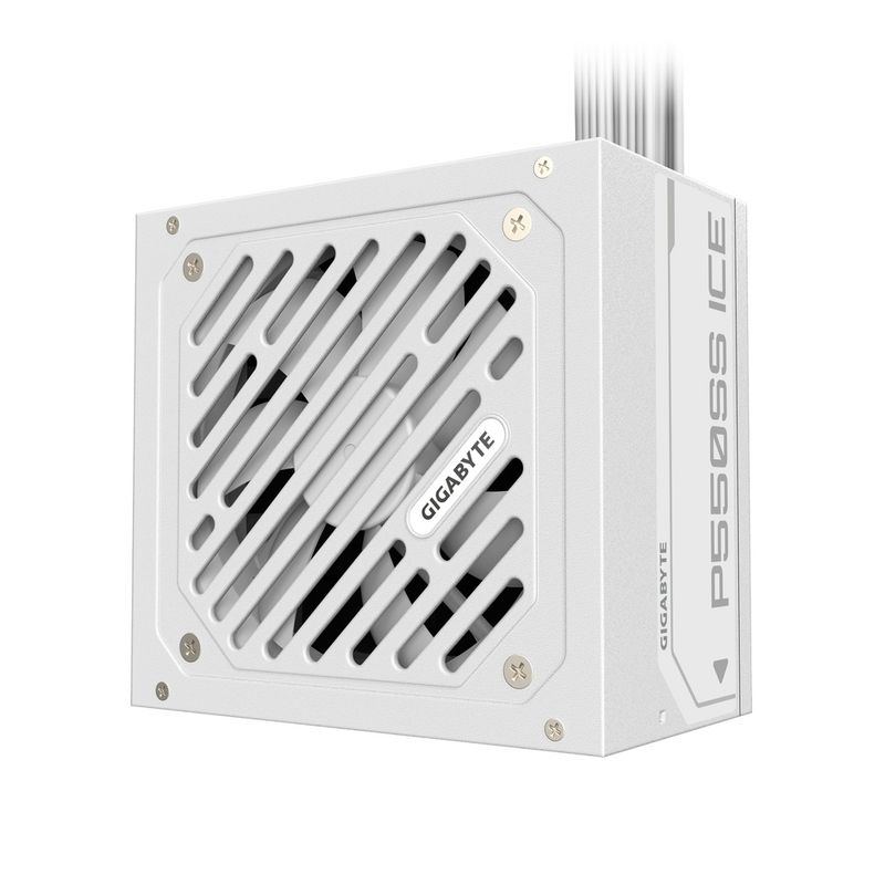 P550SS-ICE-01